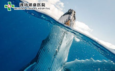 過(guò)敏性紫癜有哪些常見(jiàn)癥狀?